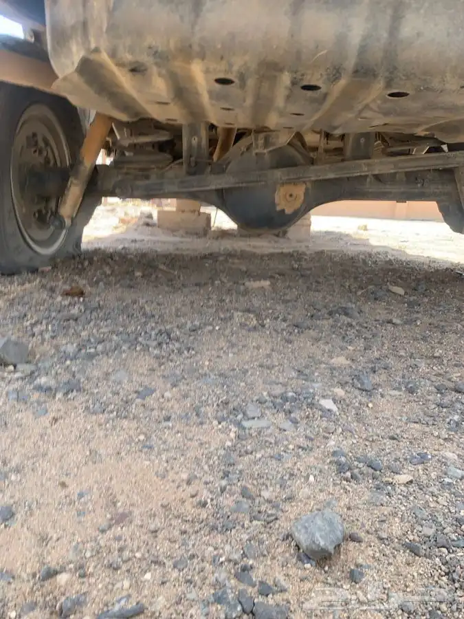 شاص فول كامل مكره دفلك كفو 1
