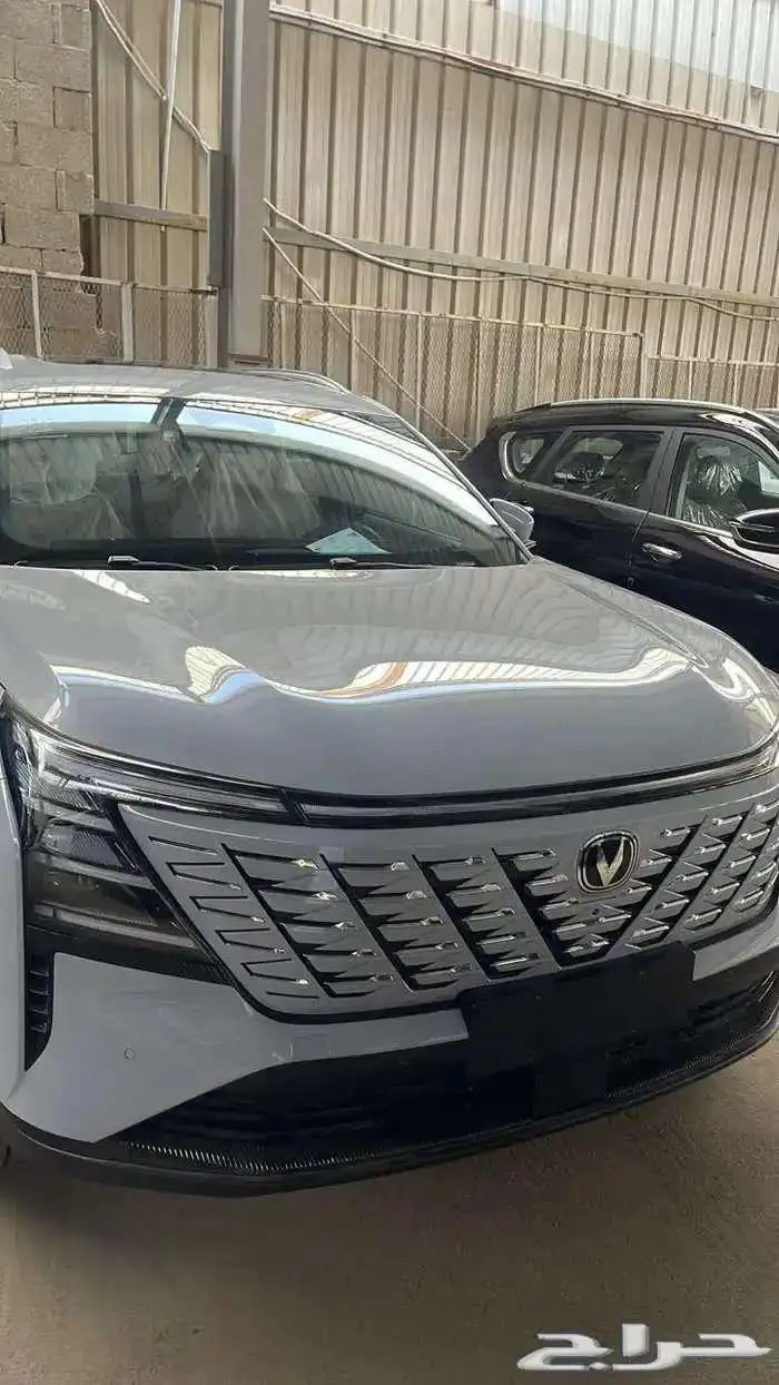 شانجان 3