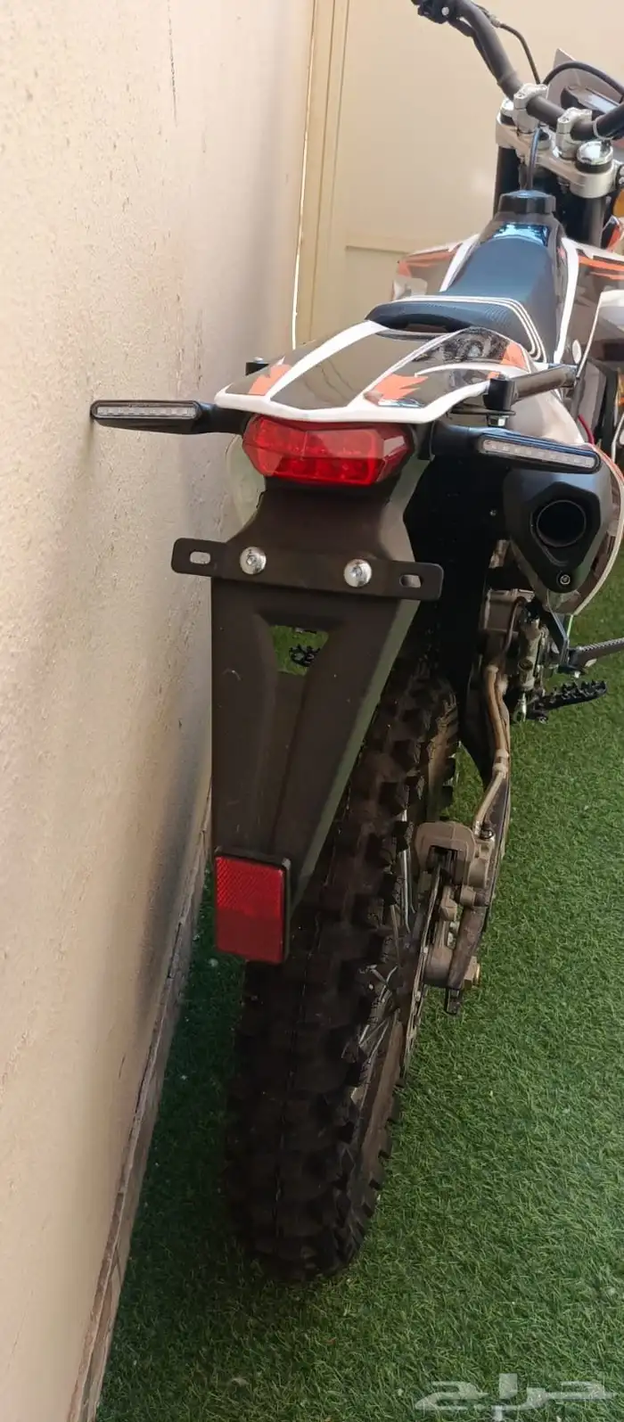 دباب صحراوي مهدي بايك 1