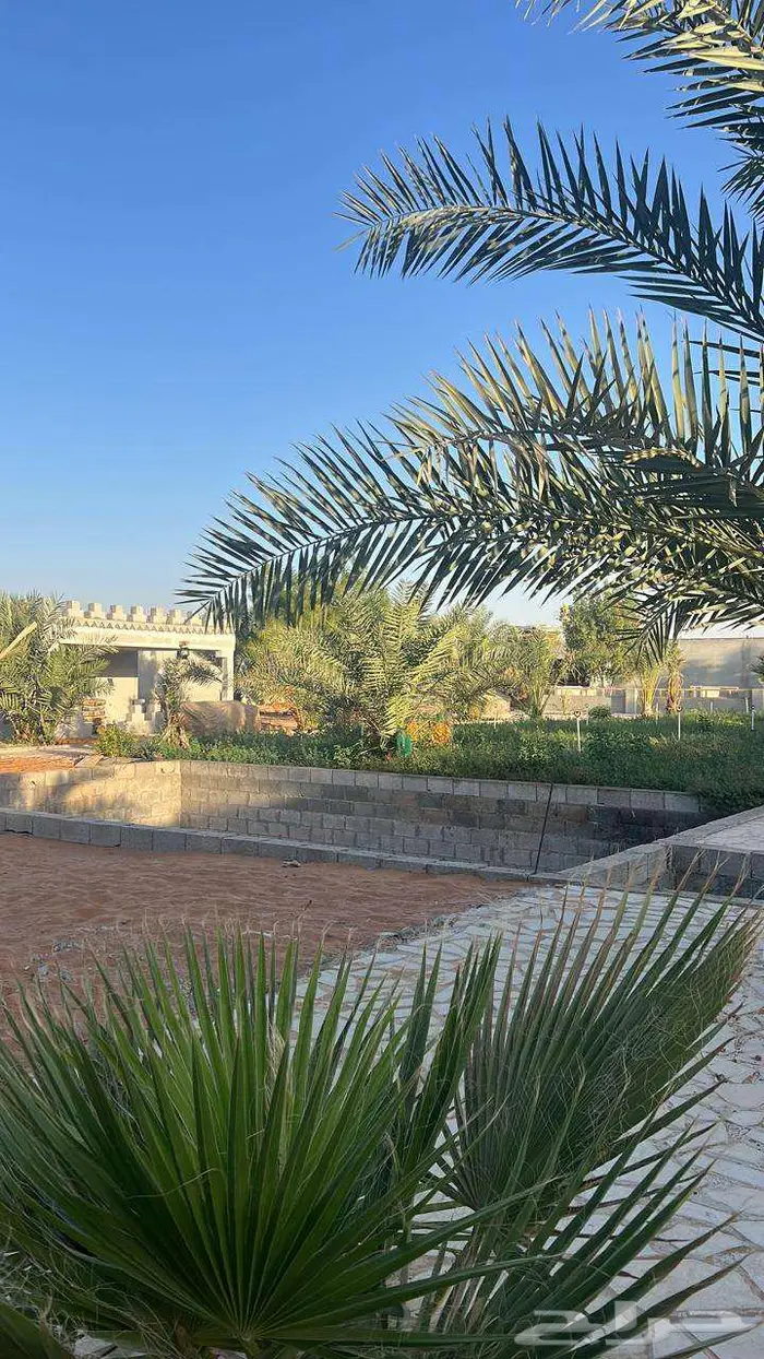 مزرعة للبيع في الخرج العفجة 5