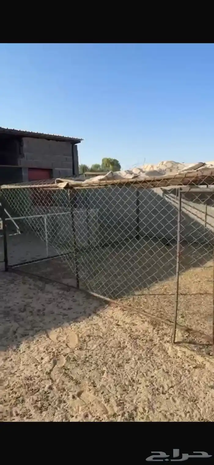 شبك للبيع 4ف4 الموقع المضه 2