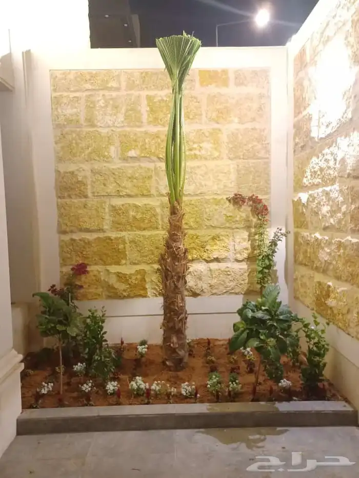 مكه الطايف جده 0
