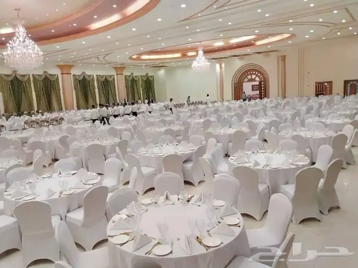 تاجير كراسي وطاولات وكراسي شفاف وكنب وطاوله المكتب وجلسات شع 0