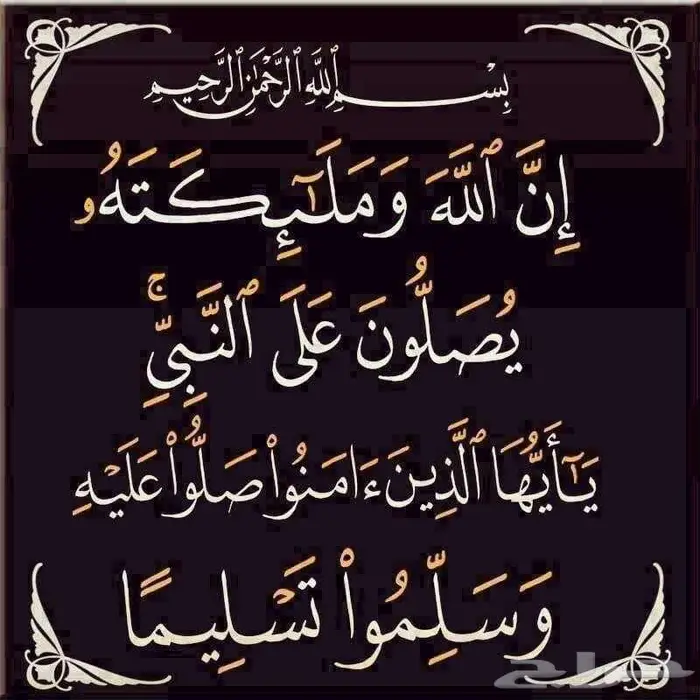 افلون استخدام شخصي ثاني مالك 54
