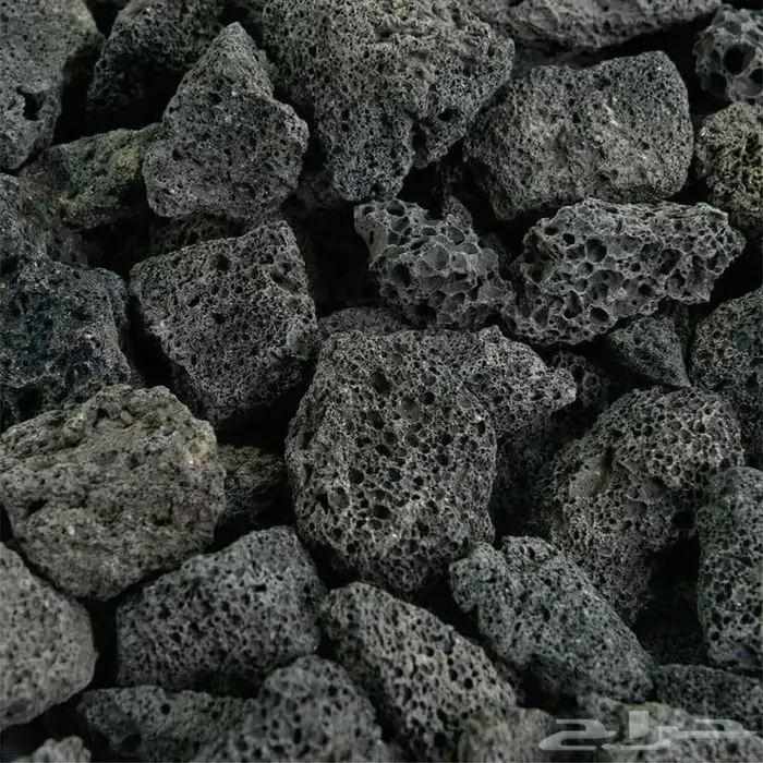 شركة ركن الفلاحة التجارية لجميع خدمات الزراعة المائية 5