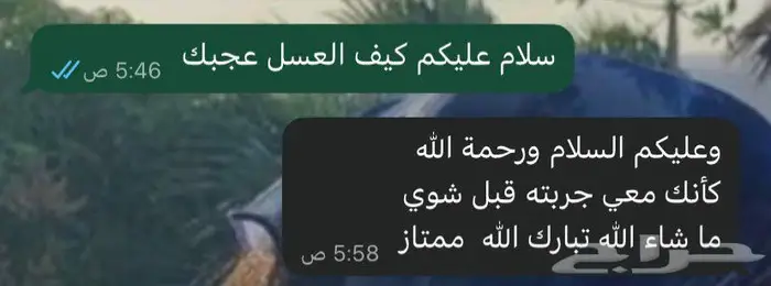 عسل جبلي حر على الشرط الكيلو 500 0
