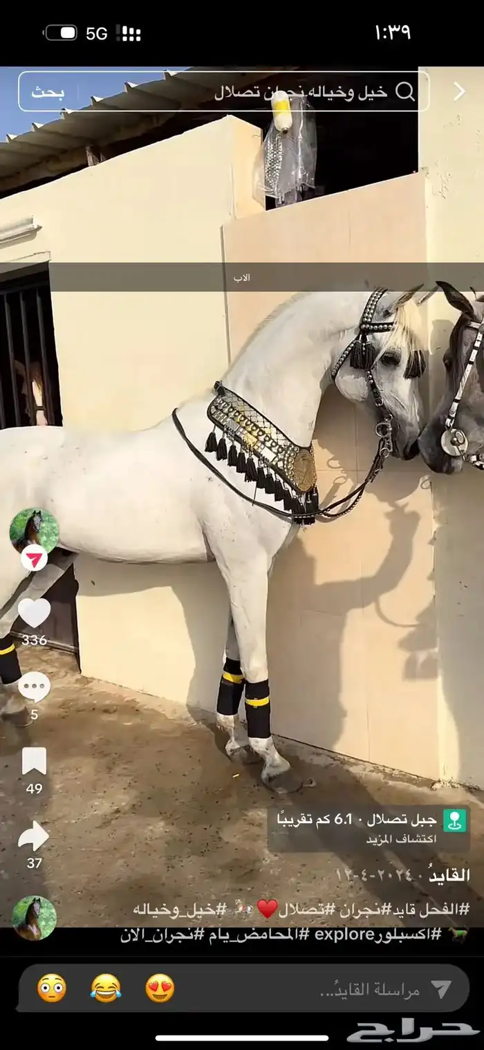 مهره شعبيه فاخره 2
