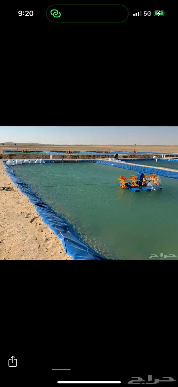 سمك بلطي و كارب وزريعة احجام من 400 جرام وطالع جودة ممتازة 1