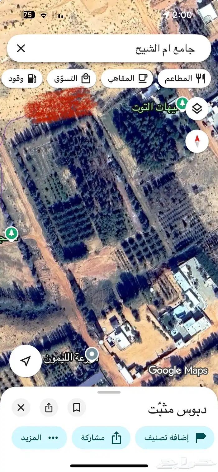 مزرعة للإيجار بأم الشيح 0