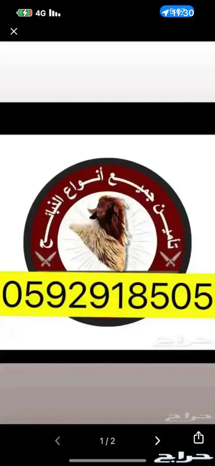 ذبايح 0