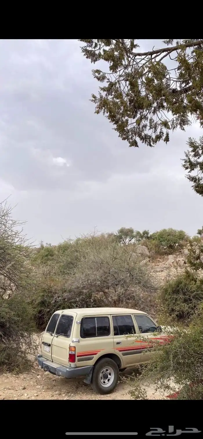 جيب 1992 7