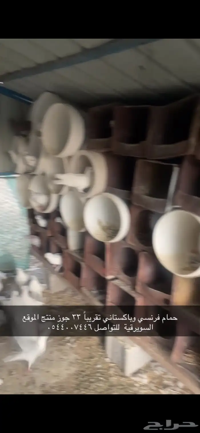حمام فرنسي وبلدي الموقع السويرقية 0