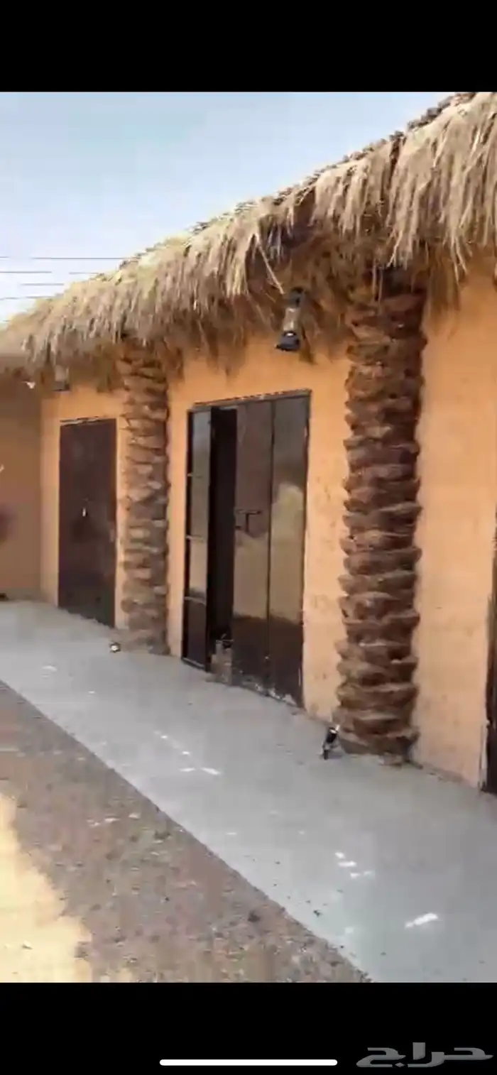 جذوع نخل 2