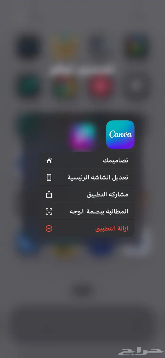 دورة برنامج كانفا 0