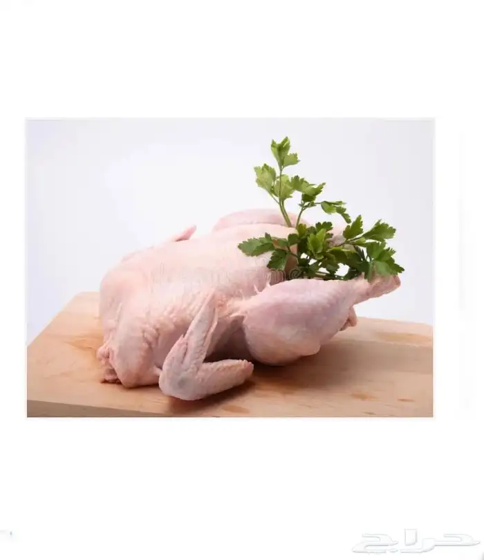 ديك رومي ذبح طازج عند الطلب 0