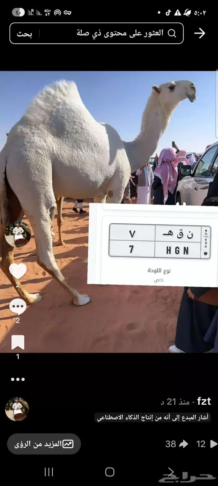 ناقه مزاين خزامه HGN 0