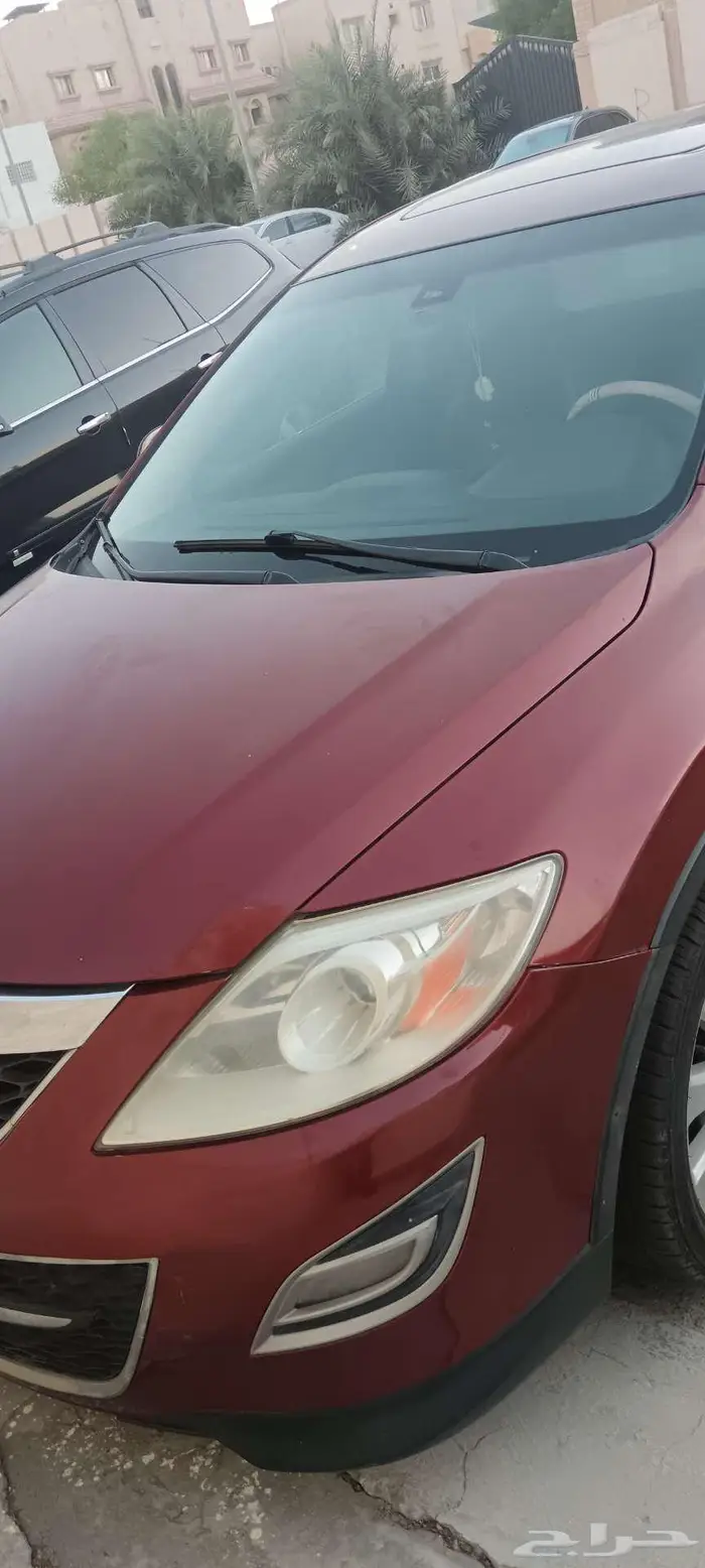 الشرقيه القطيف 5