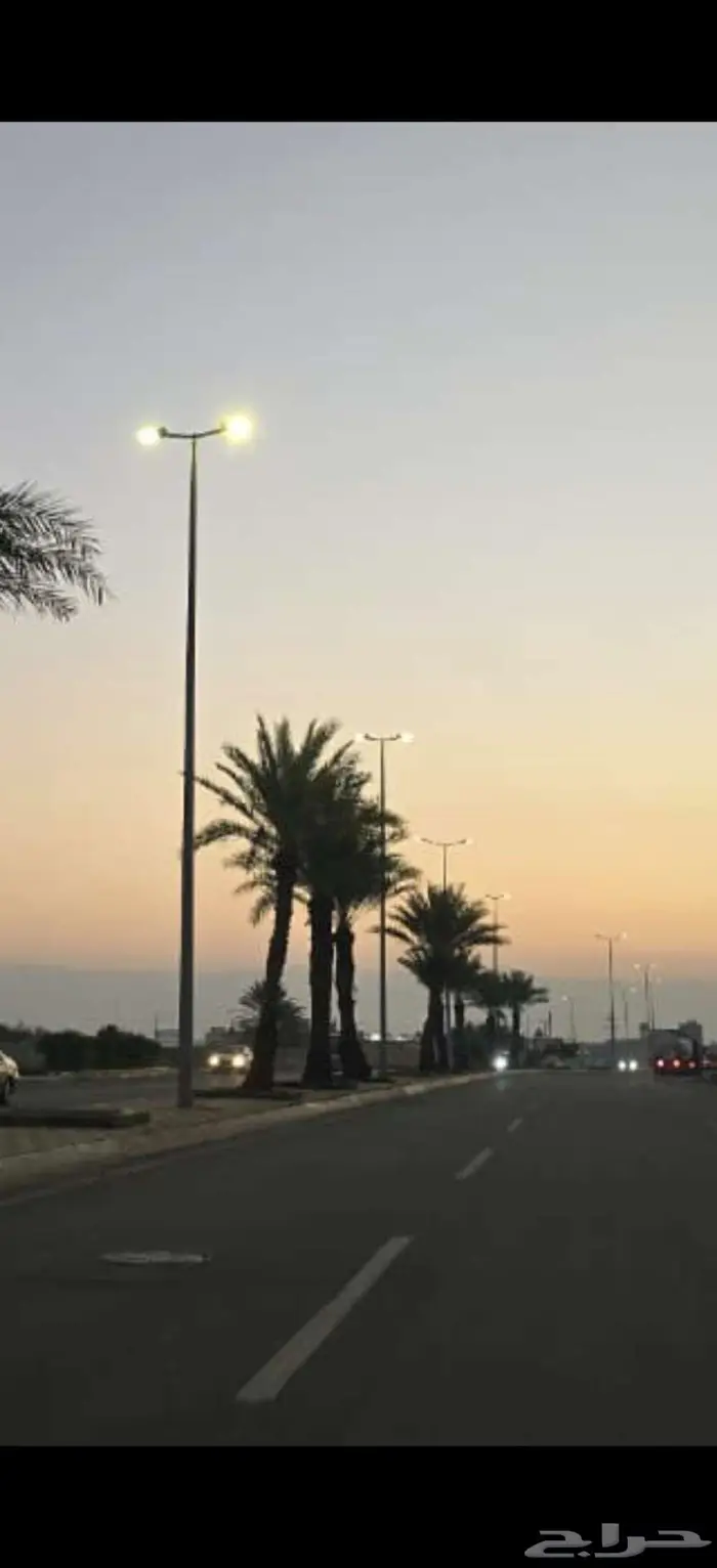 تصفية اعمده اناره ملاعب اسطبلات خيل مخيمات 2