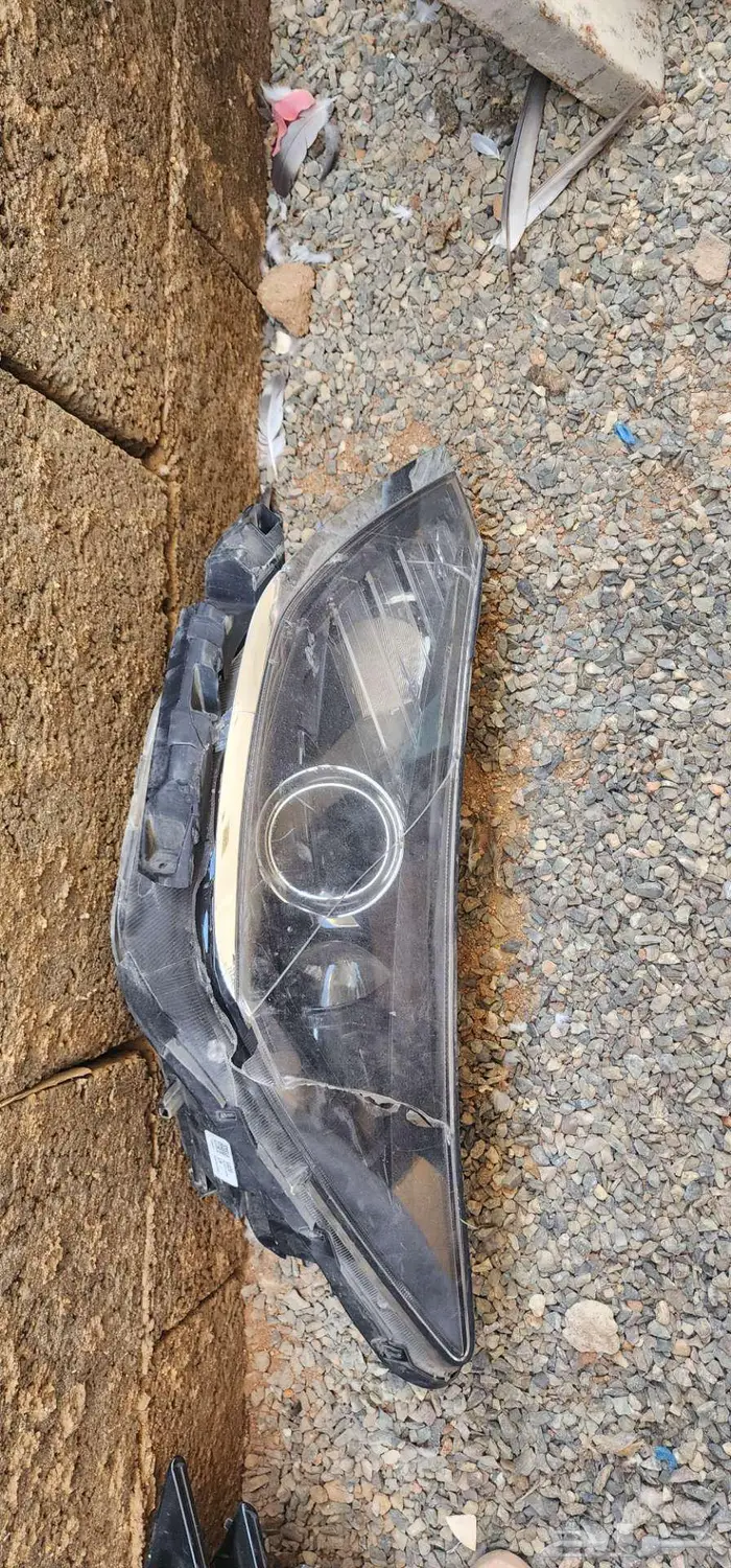 شمعة الوكالة سوناتا 0