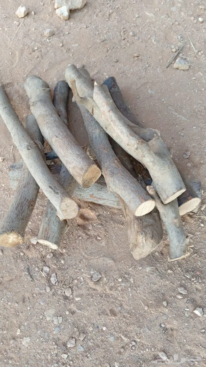 حطب مستورد 3