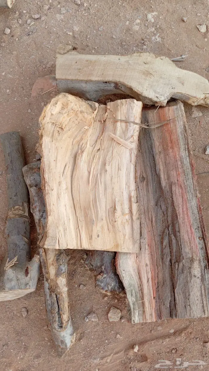 حطب مستورد 2