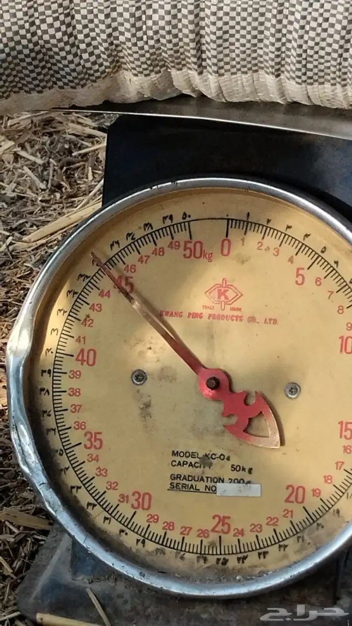 تمر علف 120 كيس 6
