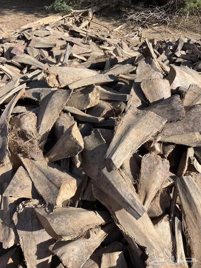 كرب نخل للبيع 2