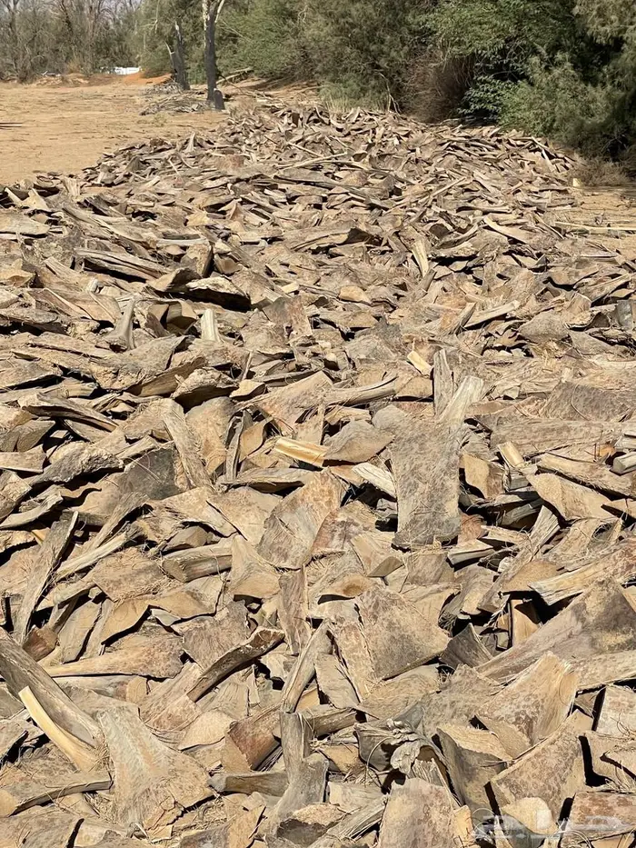 كرب نخل للبيع 1