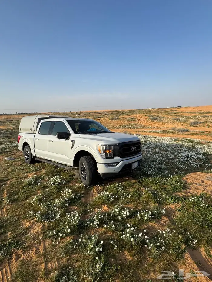 شد فورد من مديل 2015 حتى 2025 0