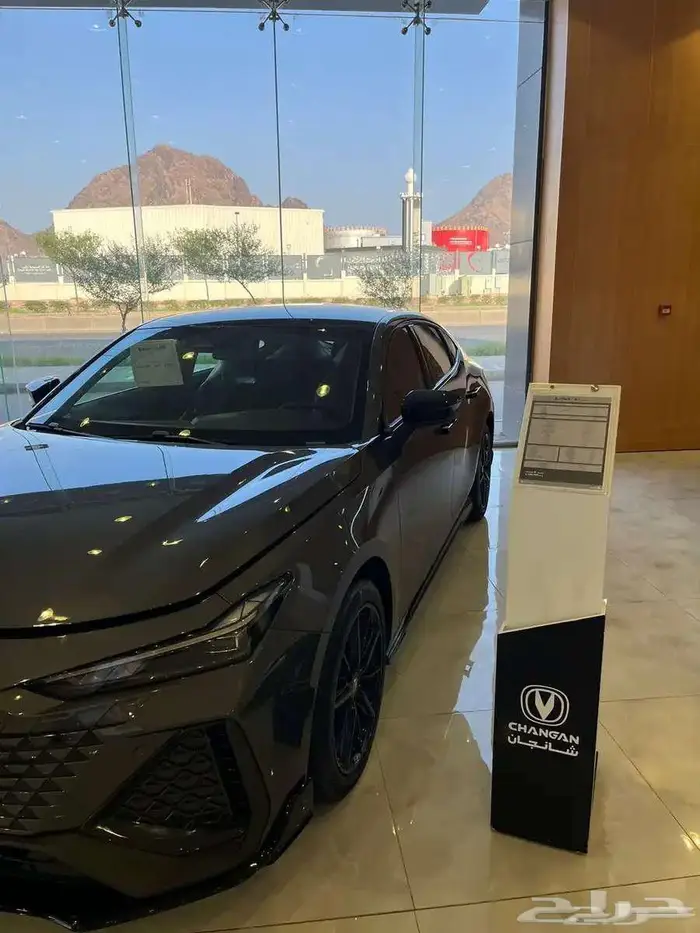 شنجان يوني في سبورت 2026 1