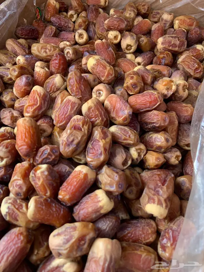 صقعي طيب وممتاز 0