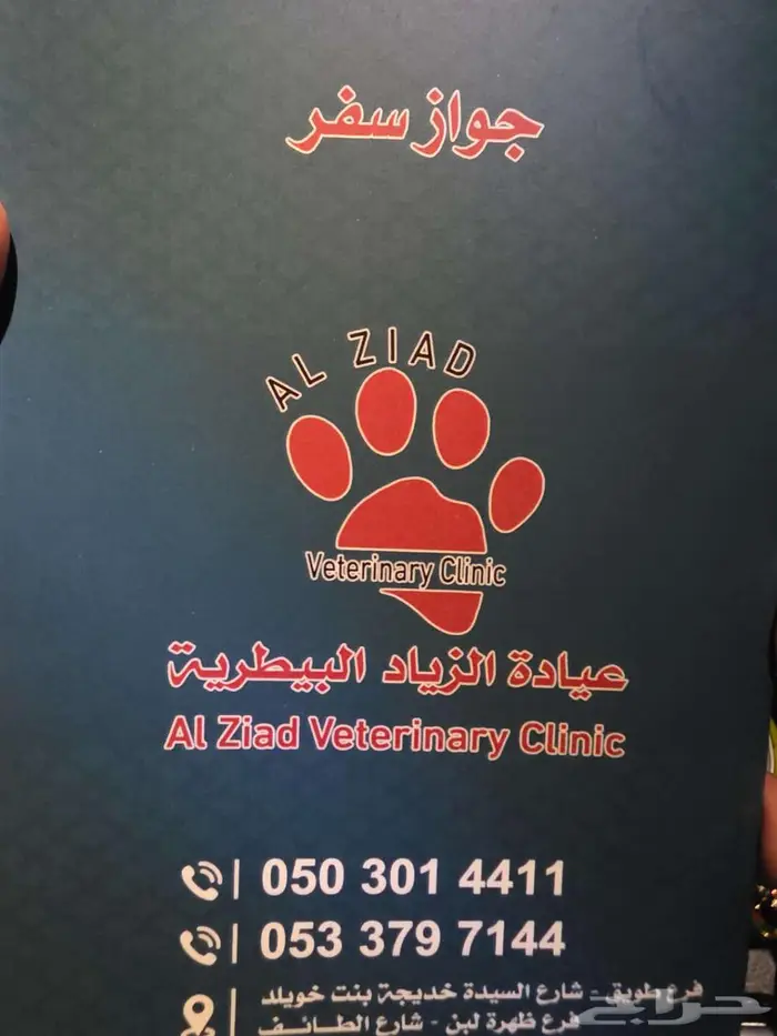 كلاب جيرمان شيبرد مطعمة ومحصنة العمر 5 اشهر 4