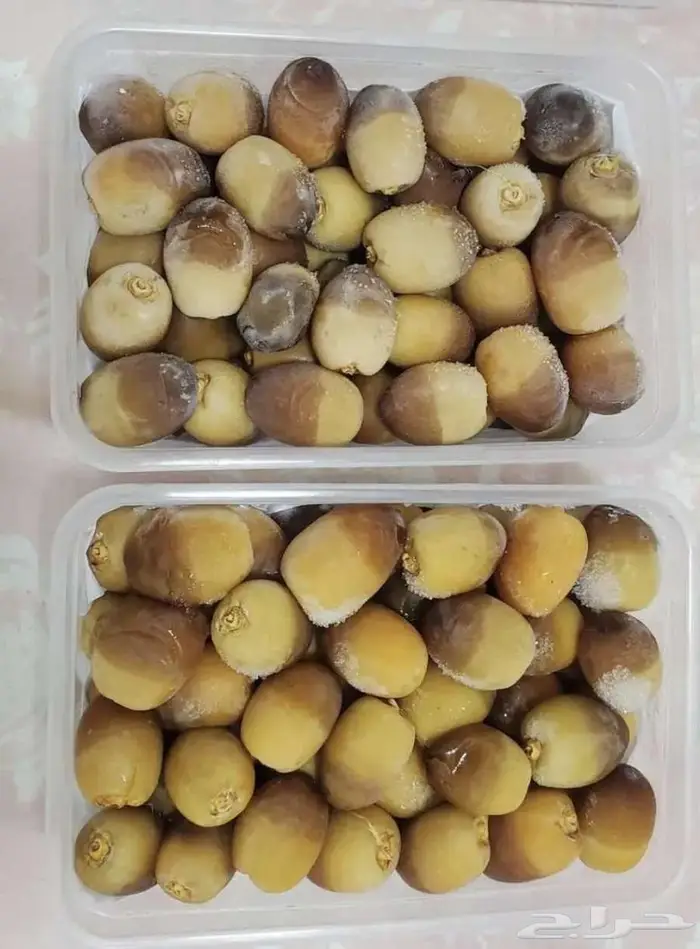تمر روثانة فاخر 1