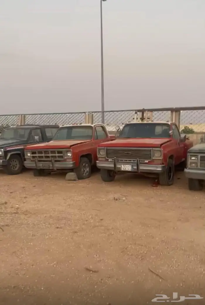 للبيع ونيتات جمس 3