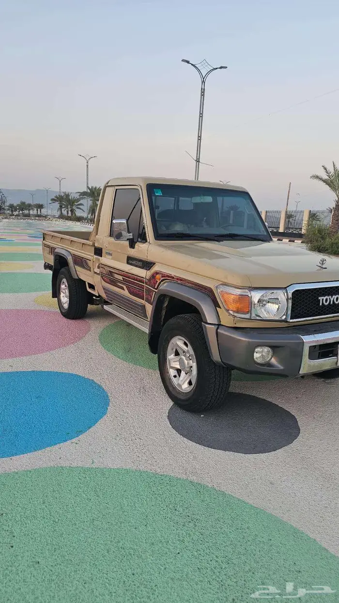 شاص 2012 سعودي رفرف 9