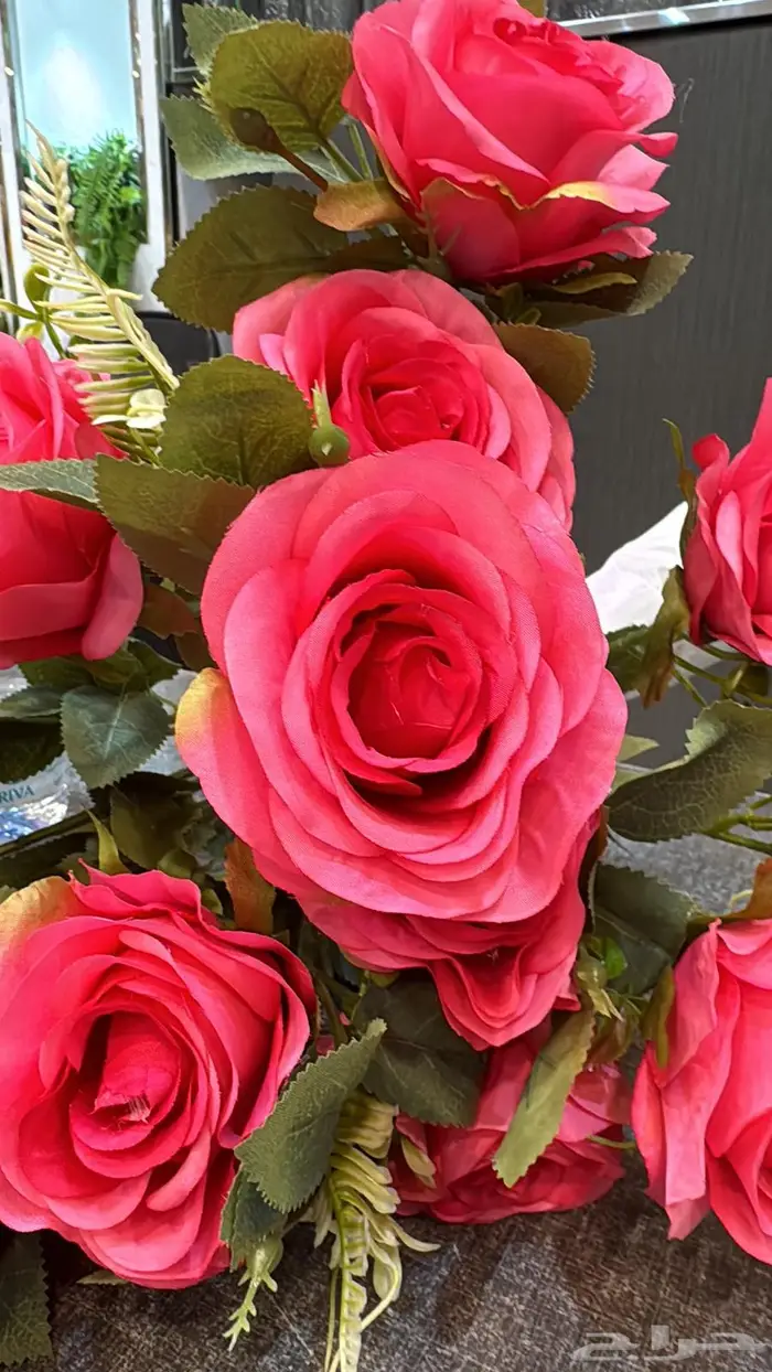 للجادين للتقبيل محل هدايا و تنسيق حفلاتب سوق التجاري بالرس 0