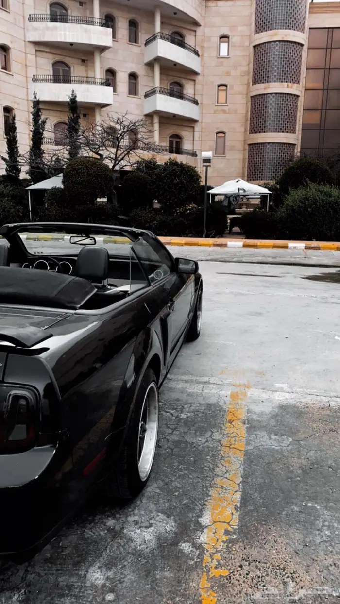 موستنج GT كلفرونيا سبيشل 2007 7