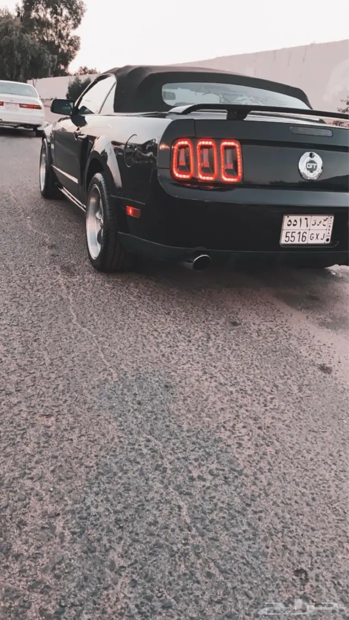موستنج GT كلفرونيا سبيشل 2007 3