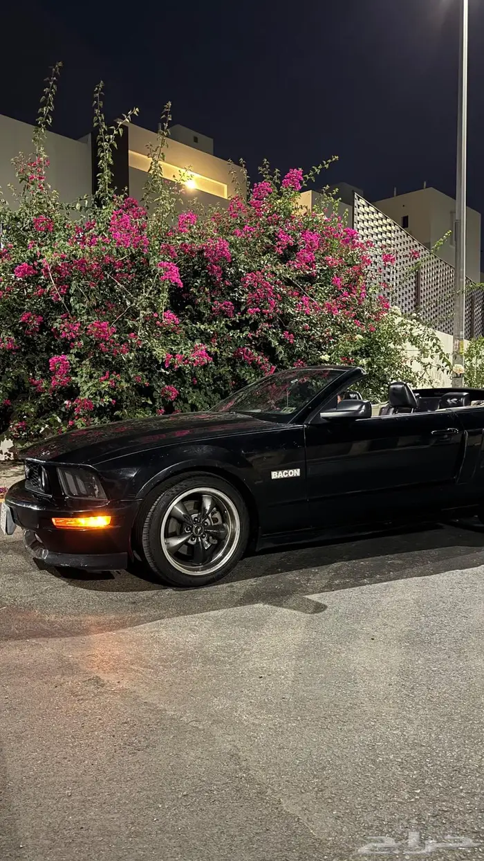 موستنج GT كلفرونيا سبيشل 2007 9