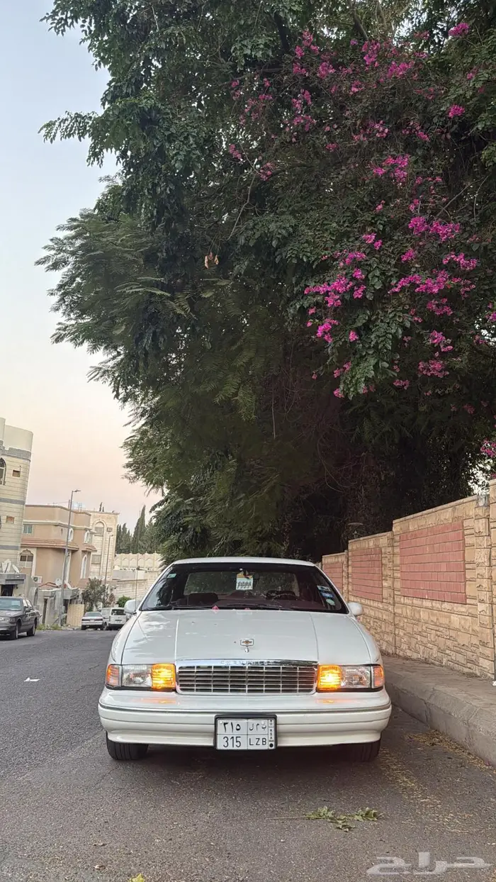 كابرس صابونه مفحوص مجدد 8