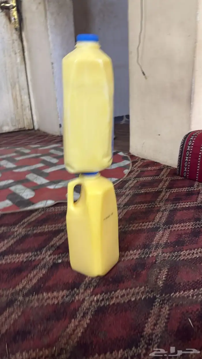 سمن بقر منجور على الشرط 0