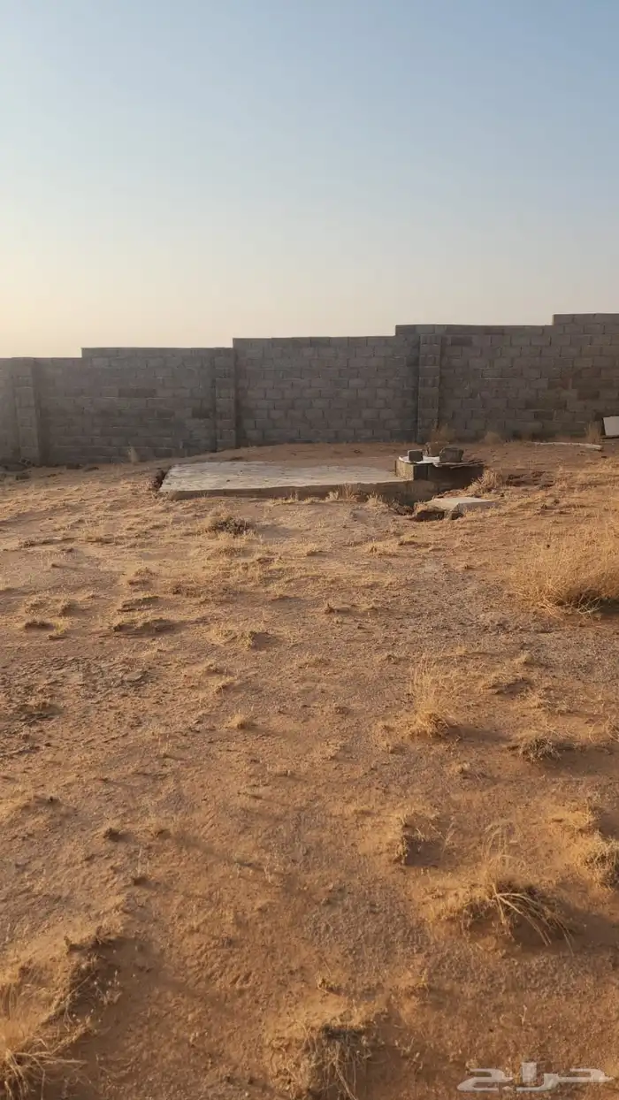 للبيع أرض في تبراك مساحتها 10 الاف متر ( مسورة ) 8