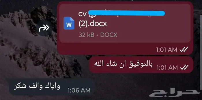 سيرة ذاتية (C.V) متوافقة مع أنظمة التوظيف (ATS) بسعر رمزي 16