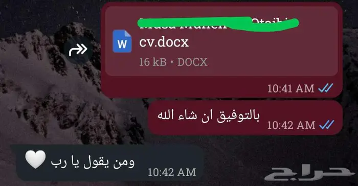 سيرة ذاتية (C.V) متوافقة مع أنظمة التوظيف (ATS) بسعر رمزي 17