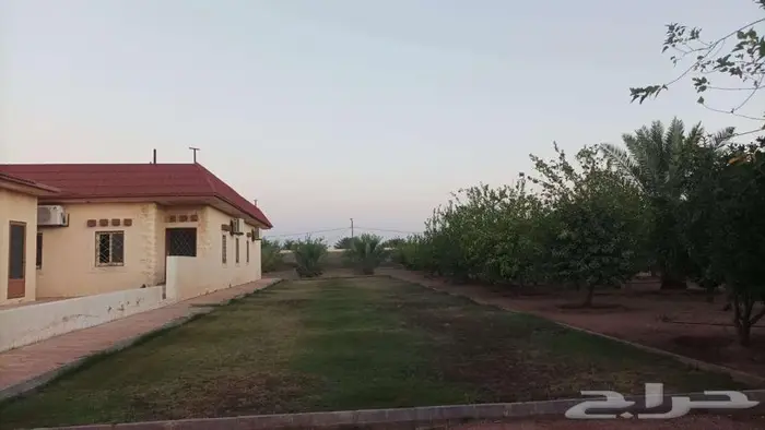 للبيع استراحة زراعية بالقاعد الغربي قريبة من طريق الجوف 6