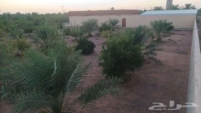 للبيع استراحة زراعية بالقاعد الغربي قريبة من طريق الجوف 0