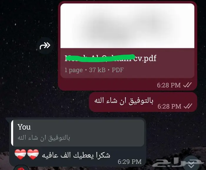 سيرة ذاتية (C.V) متوافقة مع أنظمة التوظيف (ATS) بسعر رمزي 12