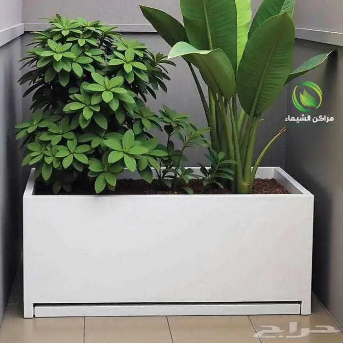 احواض زراعية ومراكن كبيرة فايبر للاشجار بسعر المصنع 58