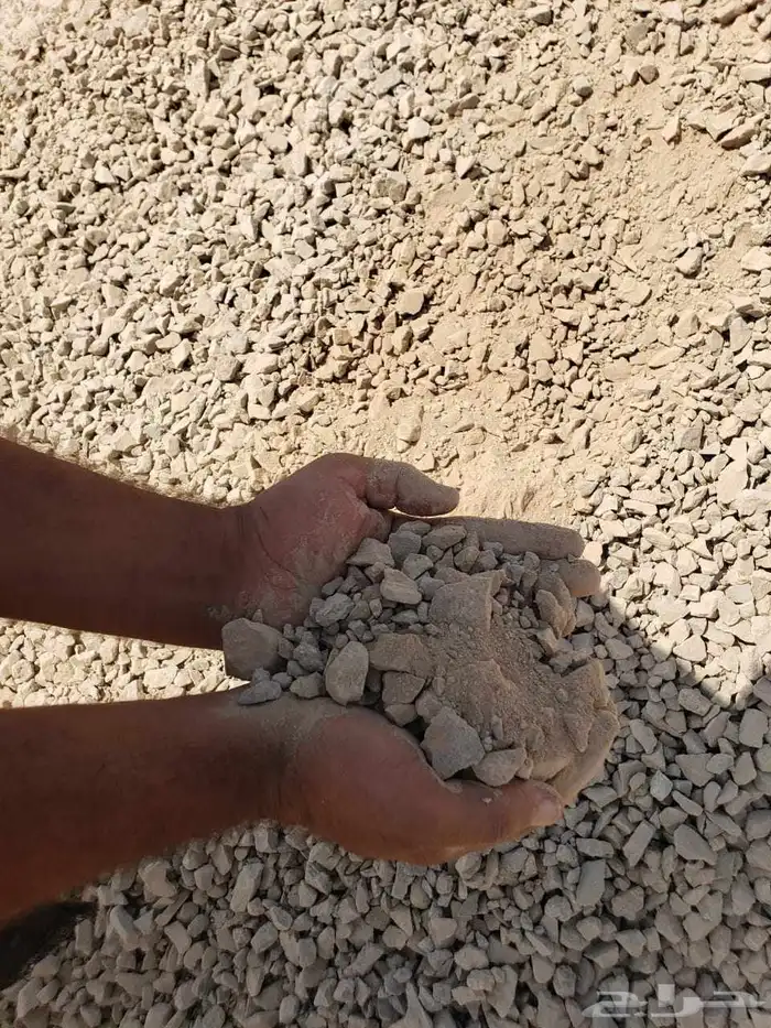 صبيص 8000رد للبيع 0