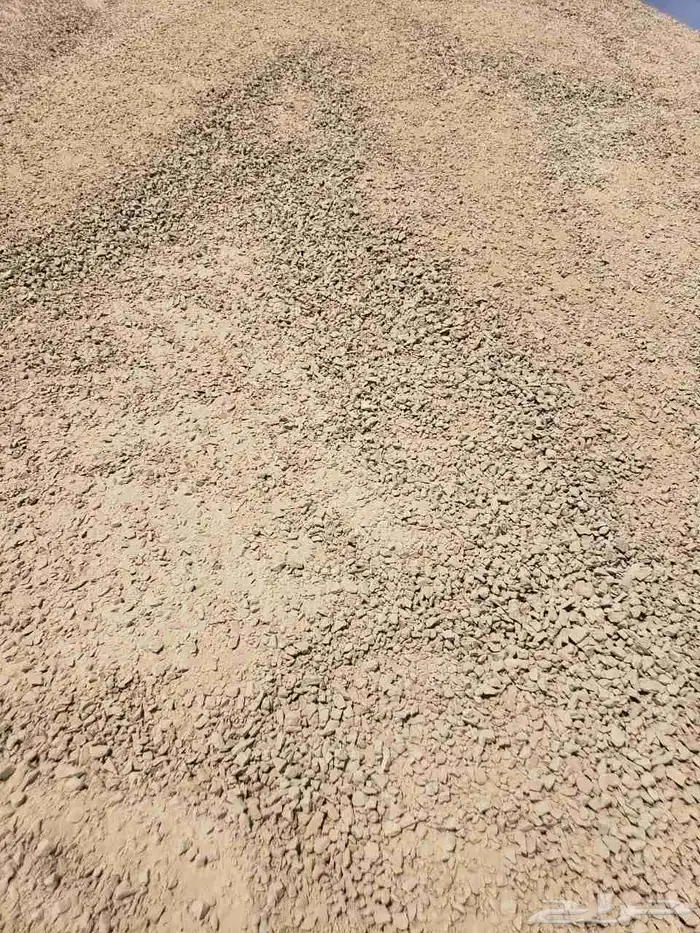 صبيص 8000رد للبيع 2